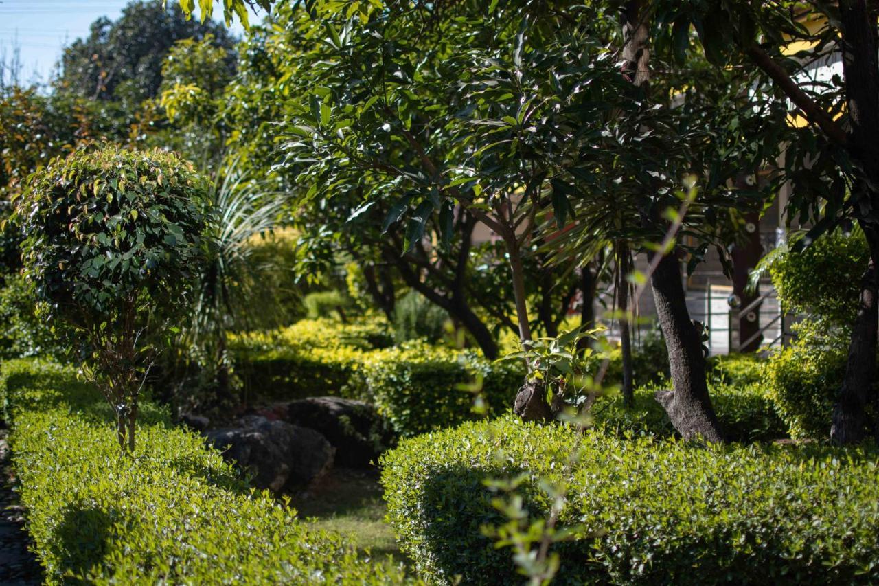 Mvt Guesthouse & Restaurant Rishīkesh Zewnętrze zdjęcie